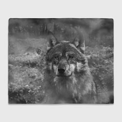 Плед флисовый Серый волк на сером фоне, цвет: 3D-велсофт