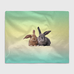 Плед флисовый Два пушистых кролика, цвет: 3D-велсофт