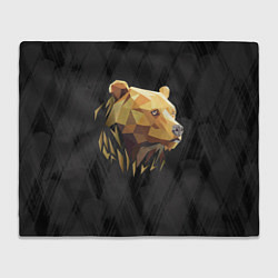 Плед флисовый Русский бурый медведь 2024, цвет: 3D-велсофт