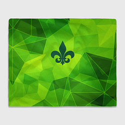 Плед Saints Row green poly