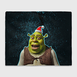 Плед New years Shrek