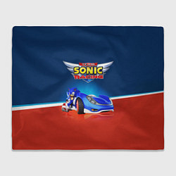 Плед Hedgehog - Sonic racing team