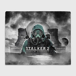 Плед Stalker 2 heart of Chornobyl radiation