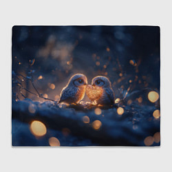 Плед Милые влюбленные совушки