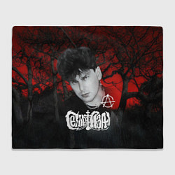 Плед Сектор газа красный лес