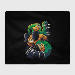 Плед Battletoads trio