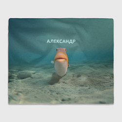 Плед Рыба - Александр