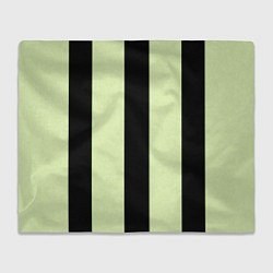 Плед Color light green black line