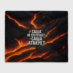 Плед Саша не отступает - Саша атакует