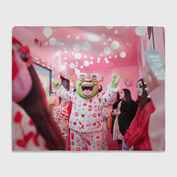 Плед Шрек пижамная вечеринка