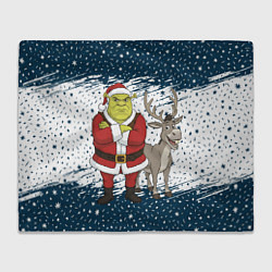 Плед Шрек и Осел - новый год