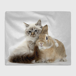 Плед флисовый Кот и кролик пушистые, цвет: 3D-велсофт