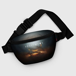 Поясная сумка Destiny 2, цвет: 3D-принт — фото 2