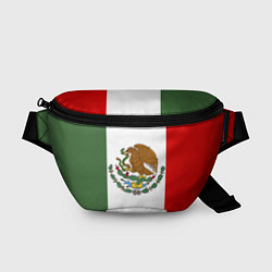 Поясная сумка Мексиканский герб, цвет: 3D-принт