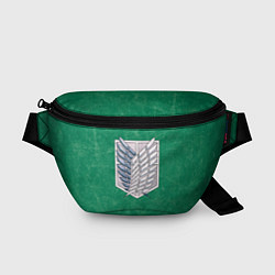 Поясная сумка АТАКА ТИТАНОВ Зеленый фон, цвет: 3D-принт