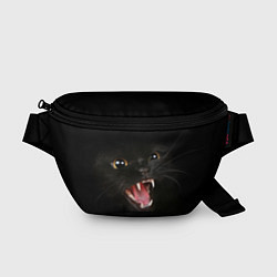 Поясная сумка Злой Котик
