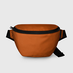 Поясная сумка Радуга v6 - оранжевый, цвет: 3D-принт