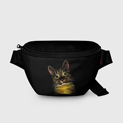 Поясная сумка Дымчато-световой кот