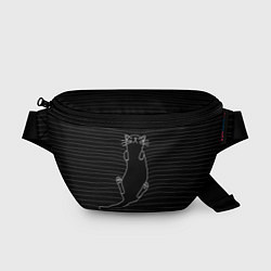 Поясная сумка Кот, цвет: 3D-принт