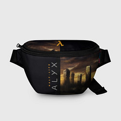 Поясная сумка Half-Life Alyx, цвет: 3D-принт