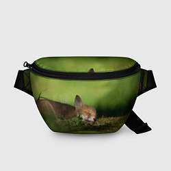 Поясная сумка Сонный лисенок, цвет: 3D-принт