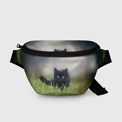 Поясная сумка Черный кот на лугу