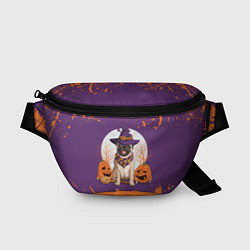 Поясная сумка Мопс на хэллоуин, цвет: 3D-принт
