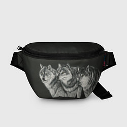 Поясная сумка Три волка, цвет: 3D-принт