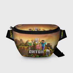 Поясная сумка Антон Minecraft, цвет: 3D-принт