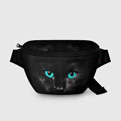 Поясная сумка Чёрный кот с бирюзовыми глазами