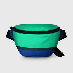 Поясная сумка Двухцветный зелёный и синий