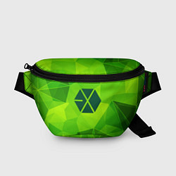 Поясная сумка Exo green poly