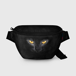 Поясная сумка Черная кошка