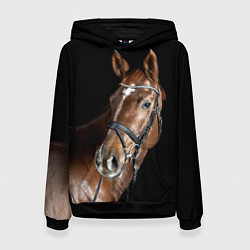 Женская толстовка Гнедая лошадь в збруе