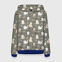 Женская толстовка Кошечки с рыбками