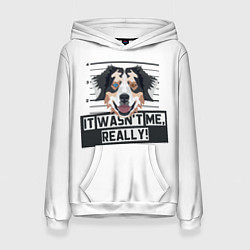 Толстовка-худи женская Австралийская Овчарка Australian Shepherd, цвет: 3D-белый