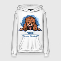 Женская толстовка Собака Пудель Poodle