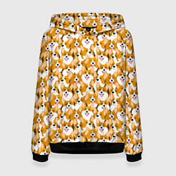 Женская толстовка Собаки Корги