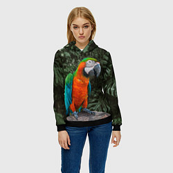Толстовка-худи женская Попугай Макао, цвет: 3D-черный — фото 2