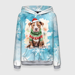 Женская толстовка Питбуль в новогоднем костюме