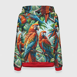 Толстовка-худи женская Попугаи Ара - тропики джунгли, цвет: 3D-красный