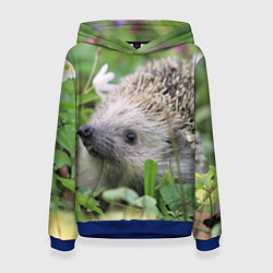 Женская толстовка Лесной ёжик в траве