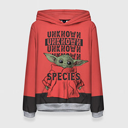 Женская толстовка Грогу