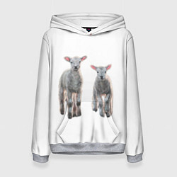 Женская толстовка Ягнята овцы