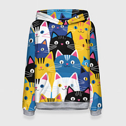 Женская толстовка Много цветных котиков