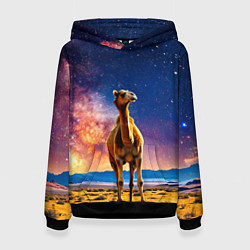 Женская толстовка Верблюд и звездное небо