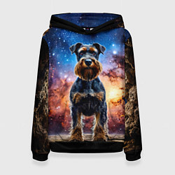 Женская толстовка Ризеншнауцер в космосе