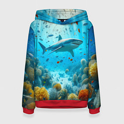 Женская толстовка Белая акула в коралловом рифе