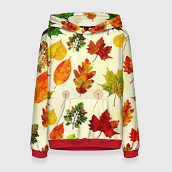 Женская толстовка Осень
