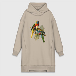Женское худи-платье Тропические попугаи, цвет: миндальный